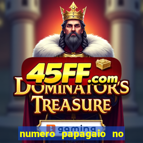 numero papagaio no jogo do bicho